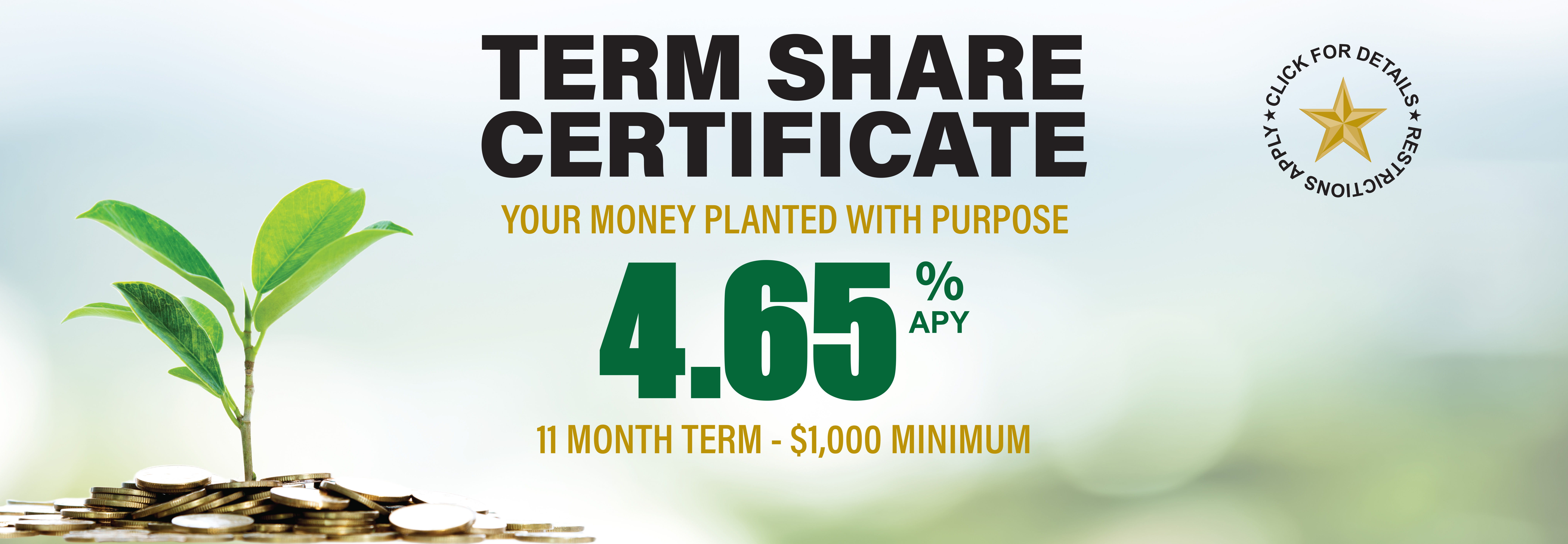 Term Share Certificate banner ad 4.65% apy