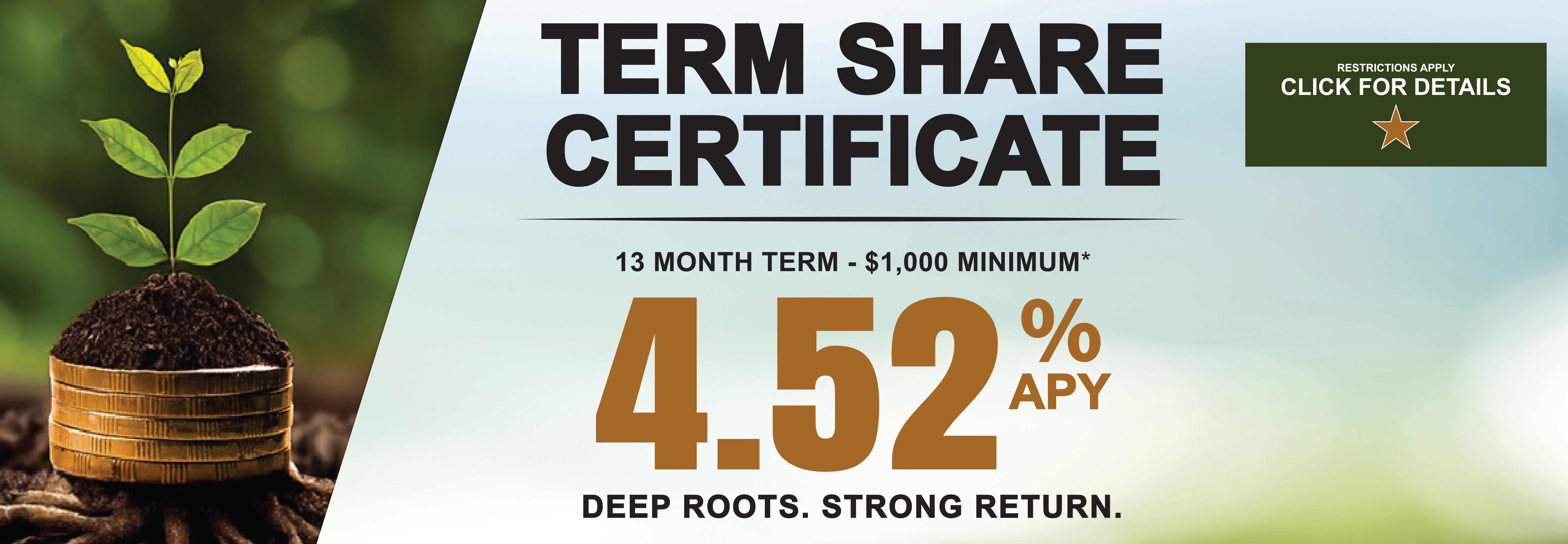 Hero banner ad TSC 4.52% promo 5.25